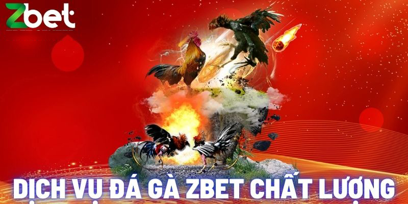 Đá gà Zbet thưởng cực cao