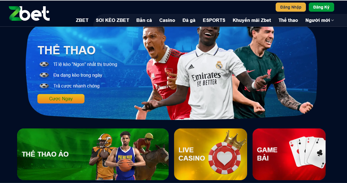 Giới thiệu những nét chính về nhà cái Zbet